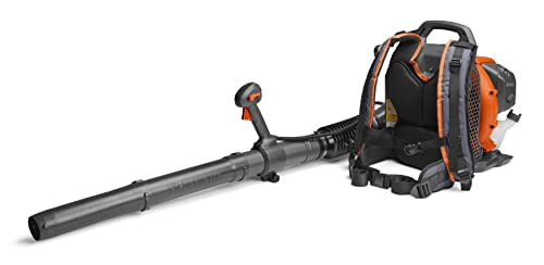 Best Backpack Leaf Blowers For Home