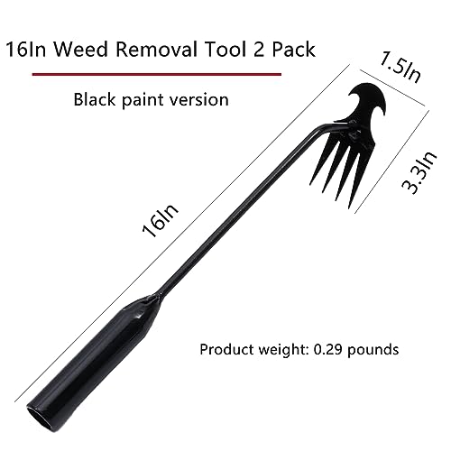 Types Of Weeding Tools For Home Gardens