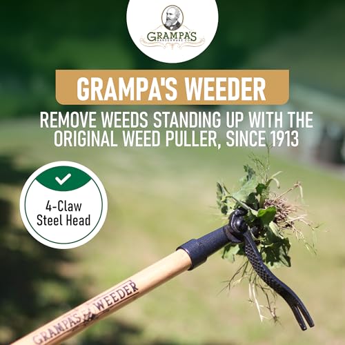 Manual Weeding Tools Vs Chemical Weed Control: 2026 Guide