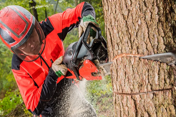 How Do You Use A Chainsaw