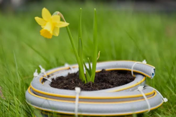 How To Dispose Of Garden Hose