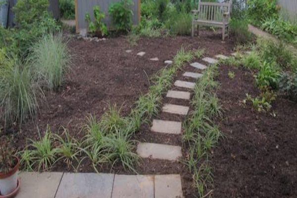 How To Fix Poor Garden Soil: Pro Tips For 2026