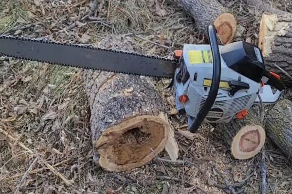 How To Port A Chainsaw: Best Step-By-Step Guide 2026
