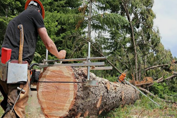 How To Use A Chainsaw Mill