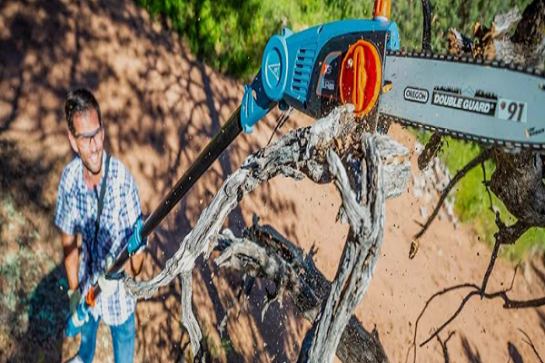 How To Use An Electric Pole Chainsaw