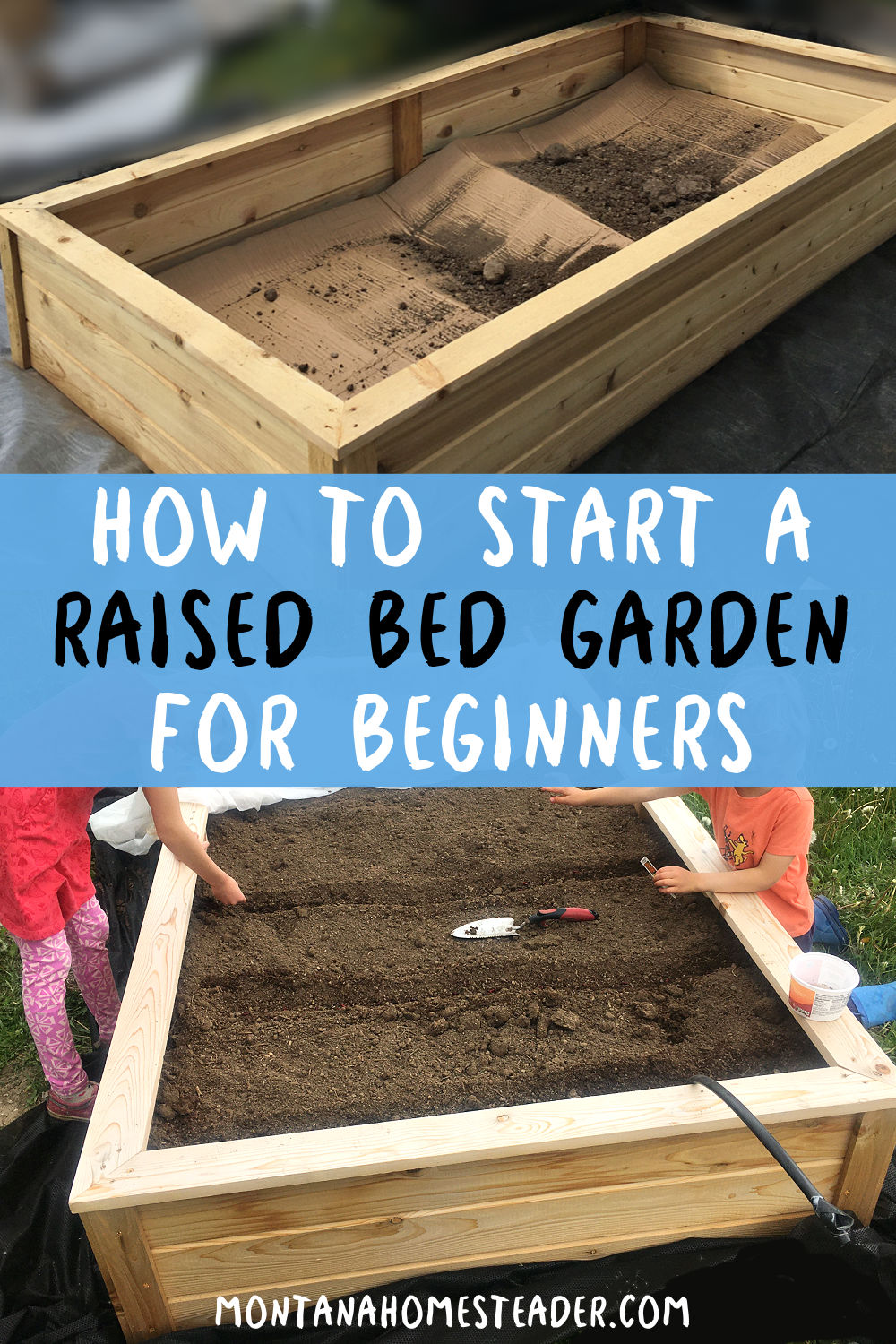 How To Start A Vegetable Garden For Beginners