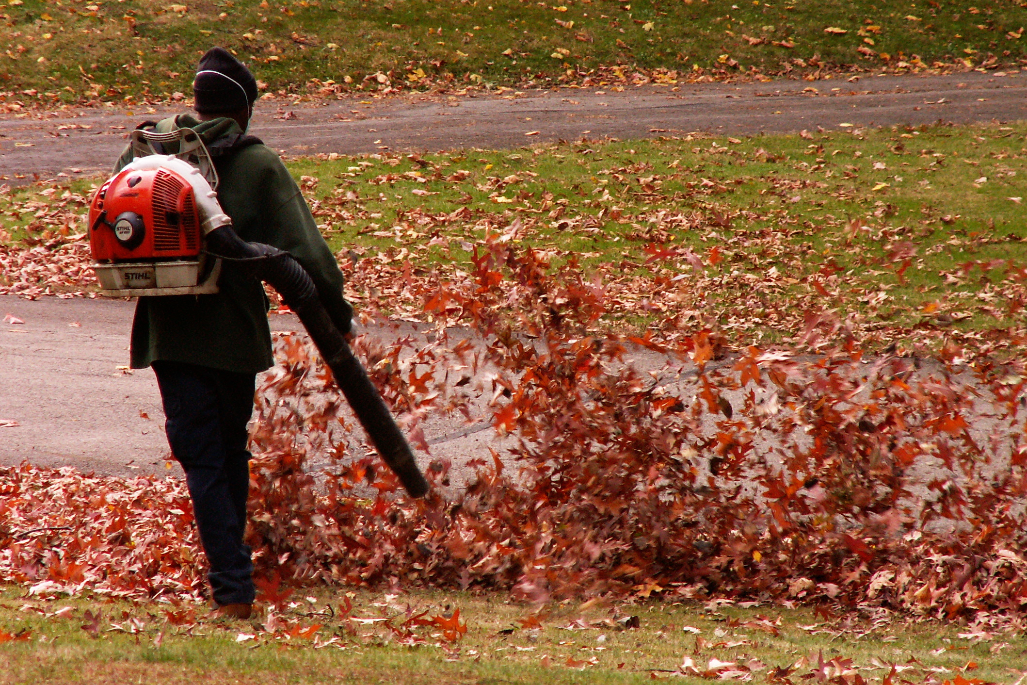 How To Blow Leaves With A Leaf Blower
