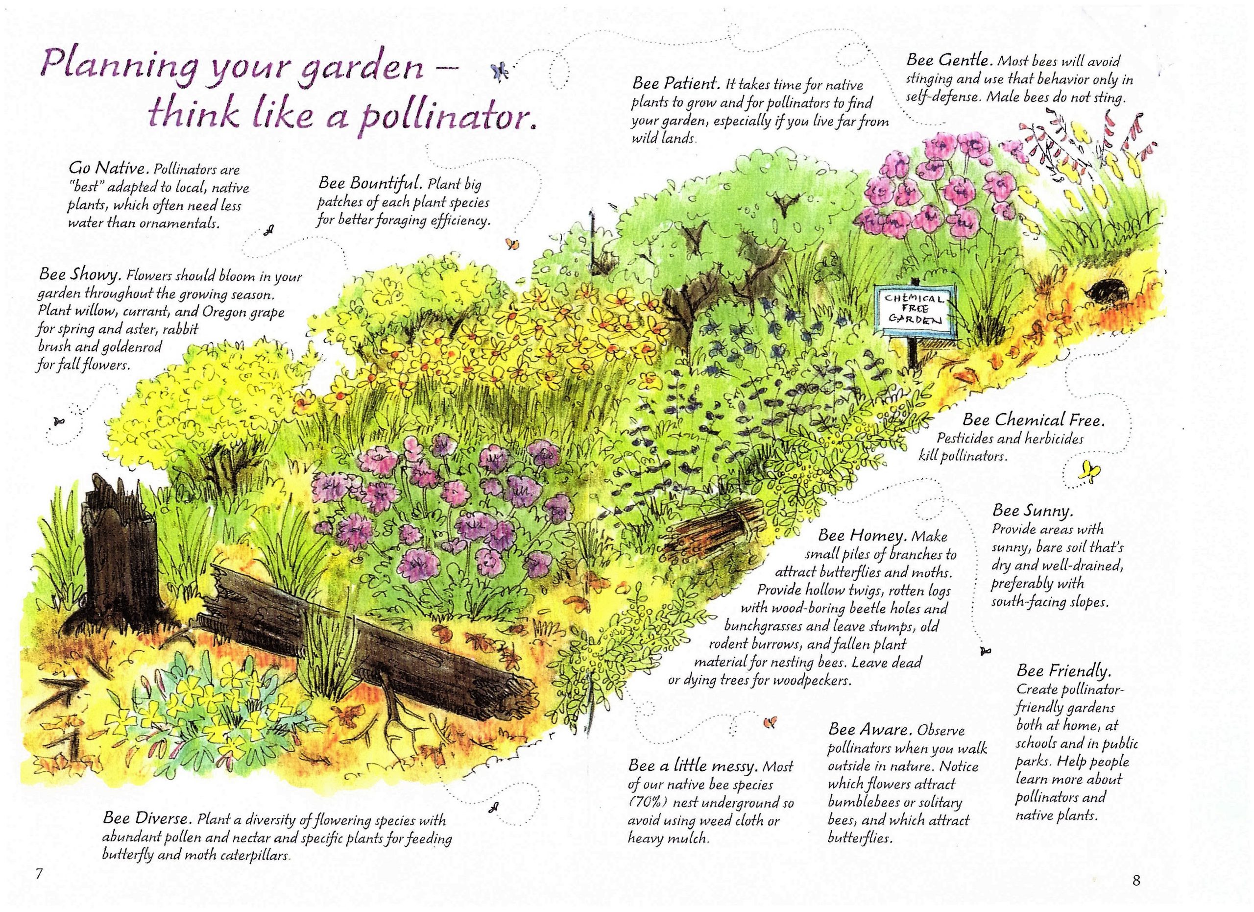 How To Create A Pollinator Garden