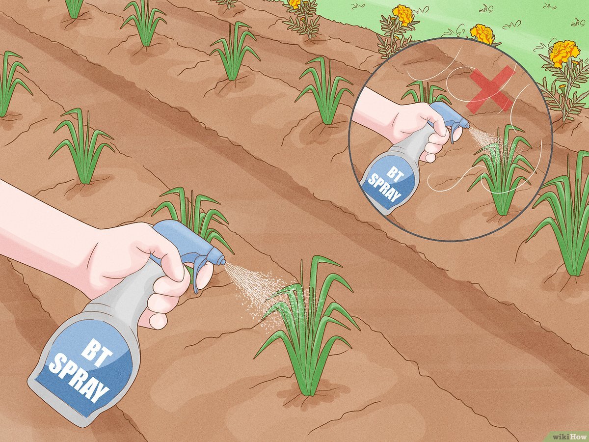 How To Protect Plants From Insects: Proven Tips 2026